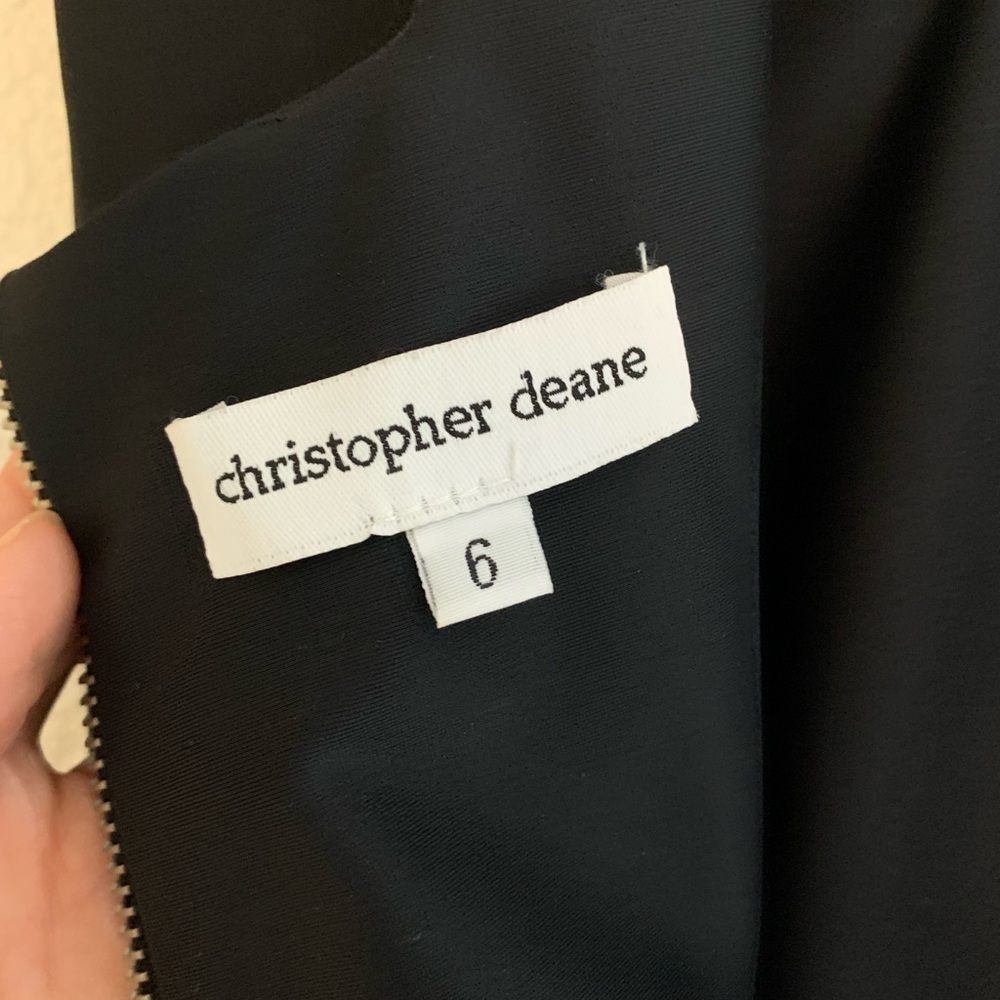 Christopher Deane Mini Dress - Picture 7 of 9
